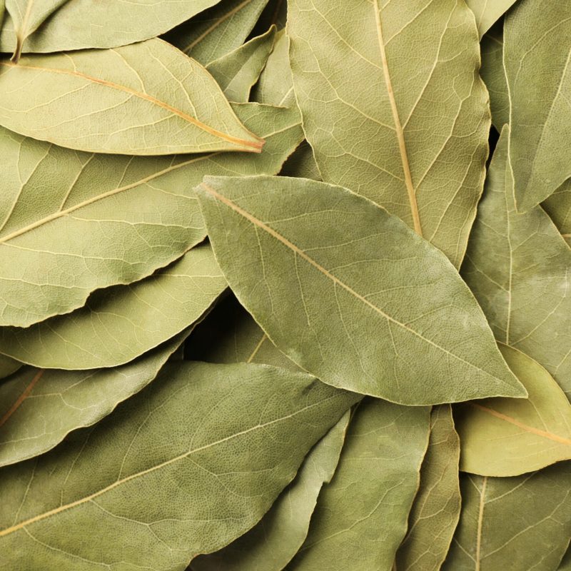 Aromatic bay leaves as background, top view